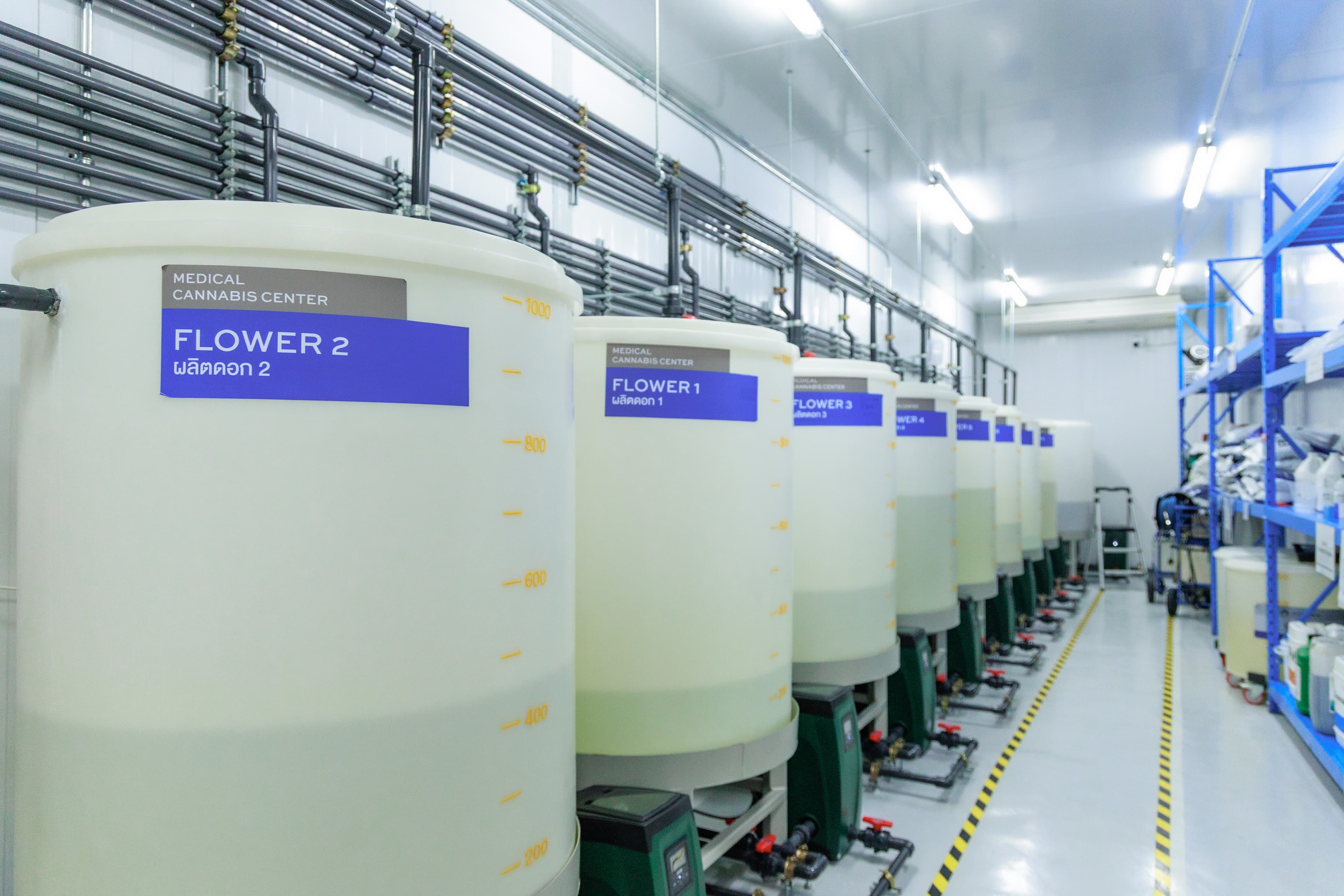 Propagation & Mothers