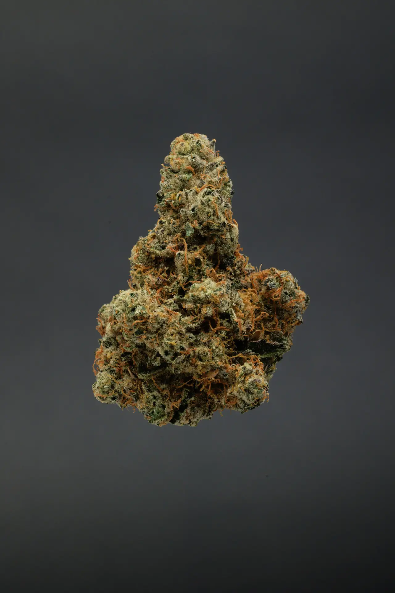 Durban Biscotti