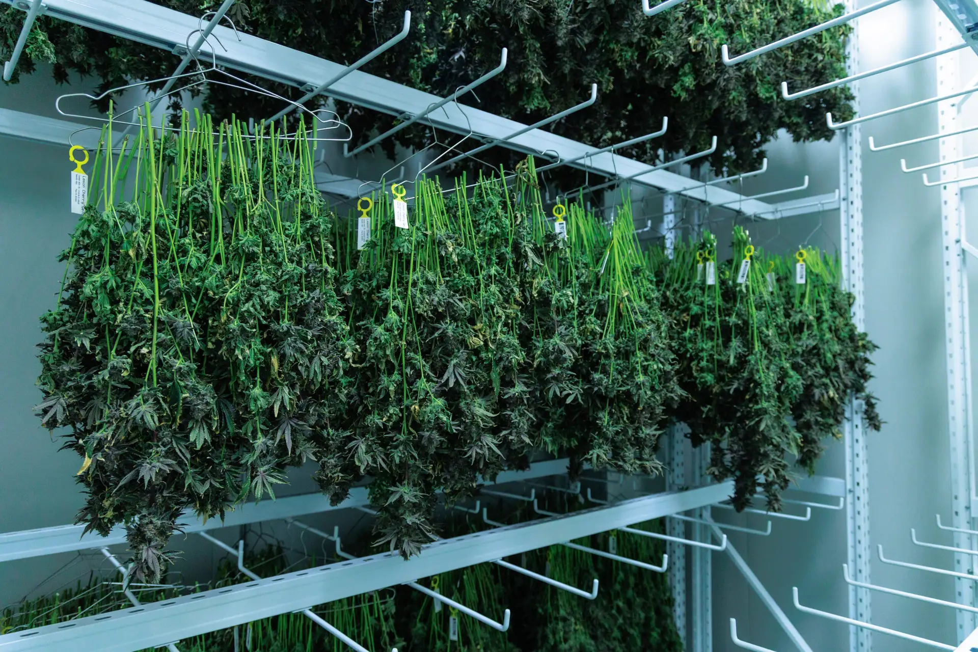 Drying Room