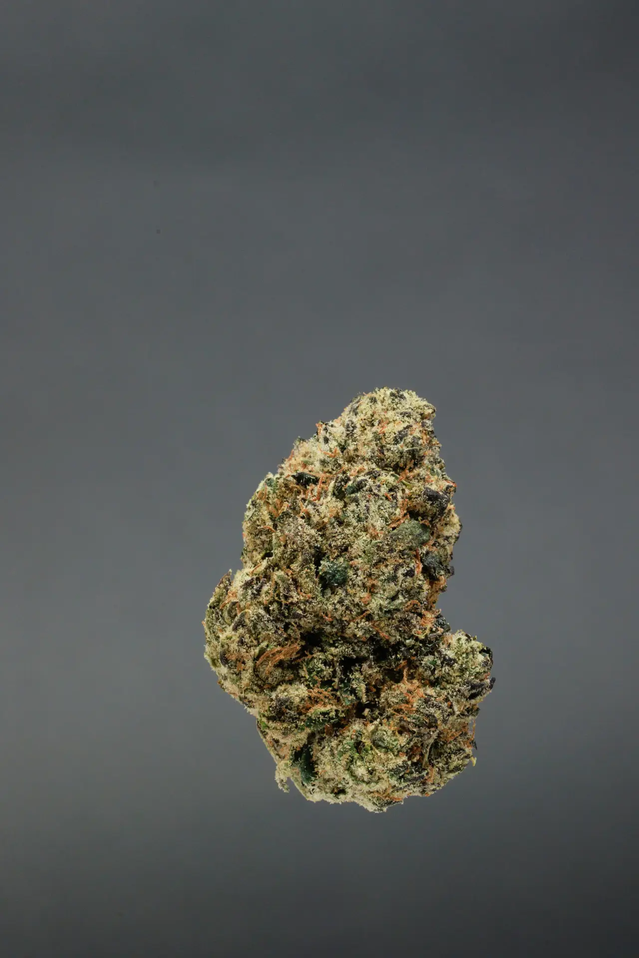 Lemon Cherry Gelato